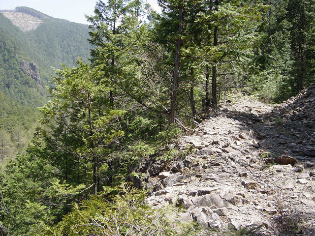 �ؑ]�X�ѓS�����������,�ѓS,�p����,�i���[�O����,���ꑺ,����V���