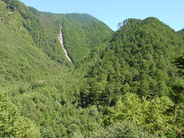 �ؑ]�X�ѓS�����������,�ѓS,�p����,�؍މ^���O����,����c�я�,�����