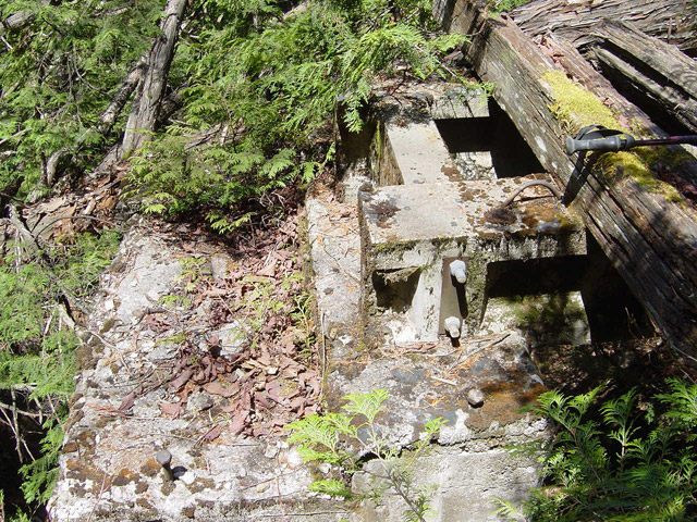 ��������X�ѓS��,�ѓS,�p����,�V��,���r,�包,PC��