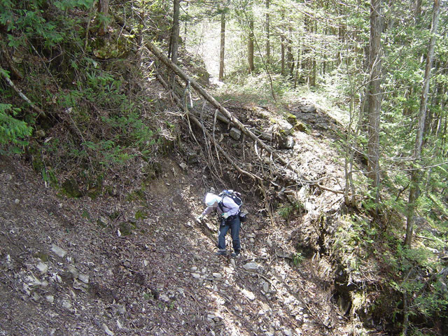 ��������X�ѓS��,�ѓS,�p����,�V��,���r,�ؑ],����c�я�