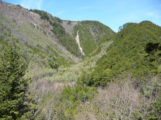 �ؑ]�X�ѓS�����������,�ѓS,�p����,�����X�ъǗ���,����c�ы�,�����