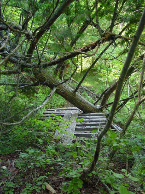 ��������,�V���,�M����,�ؑ],���ꑺ