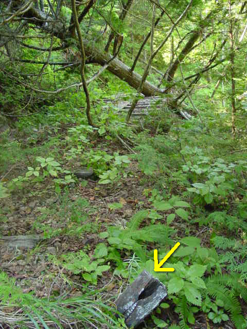 ��������,�V���,�M����,�ؑ],���ꑺ