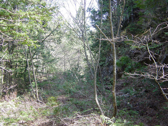 �ؑ]�X�ѓS�����������,�ѓS,�p����,���ꑺ,�؍މ^���O����,���L��,�ѓ�