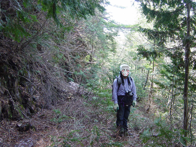 ��������X�ѓS��,�ѓS,�p����,�ؑ],�؍މ^���O����,���L��,�ѓ�