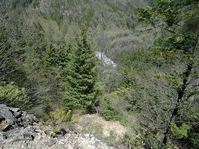 �ؑ]�X�ѓS�����������,�ѓS,�p����,����c�я�,�H��,����