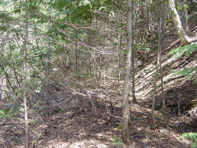 ��������X�ѓS��,�ѓS,�p����,�ؑ]�X�ъǗ���,�y�؋O��,�H��,�ѓ�