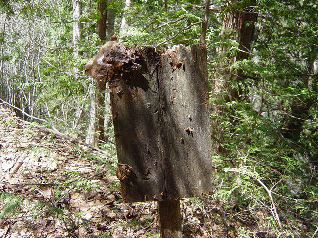 ��������X�ѓS��,�ѓS,�p����,�W��,�؍މ^���O����,���Β���,�x�J�点