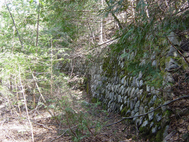 �ؑ]�X�ѓS�����������,�ѓS,�p����,���ꑺ,�؍މ^���O����,�Ί_,�i��