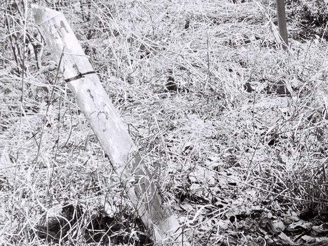 ��������X�ѓS��,�ѓS,�p����,�W��,�؍މ^���O����,�L���|�X�g,�����W,�ؑ]