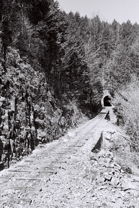 ��������X�ѓS��,�ѓS,�p����,���ꑺ,�O����,�ؑ]