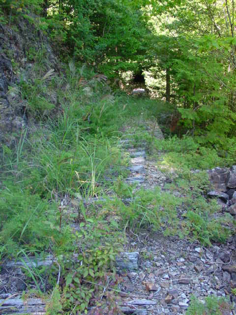 ��������X�ѓS��,�ѓS,�p����,����,�i���[�O����,�ؑ]