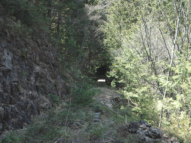 ��������X�ѓS��,�ѓS,�p����,�H��,�i���[�O����,�ؑ]