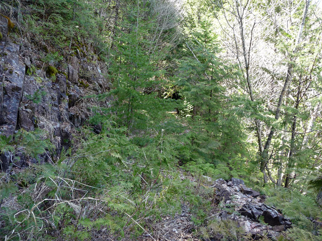 ��������X�ѓS��,�ѓS,�p����,�H��,�i���[�O����,�ؑ]�X�ъǗ���