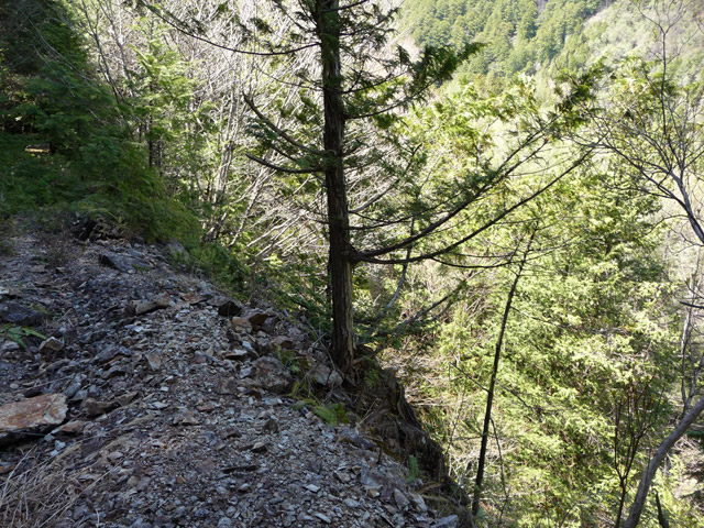 ��������X�ѓS��,�ѓS,�p����,����,�i���[�O����,���ꑺ