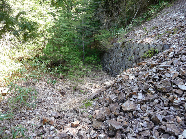 ��������X�ѓS��,�ѓS,�p����,�H��,�i���[�O����,�R����