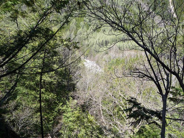 ��������X�ѓS��,�ѓS,�p����,�ؑ],���ꑺ,���i