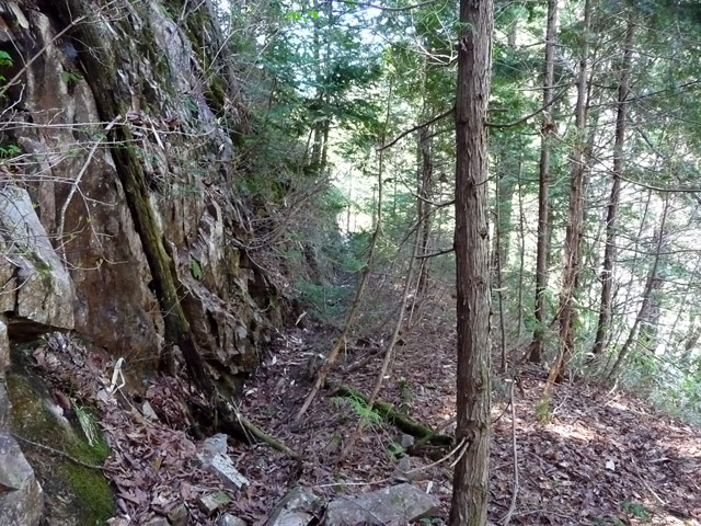 �ؑ]�X�ѓS�����������,�ѓS,�p����,���ꑺ,�ѓ�,�؍މ^���O��