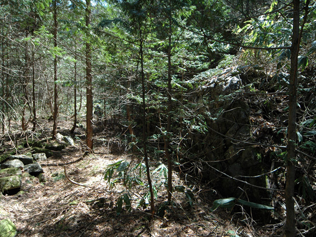 �ؑ]�X�ѓS�����������,�ѓS,�p����,��r�ʐ^,�ѓ�,�Δ�