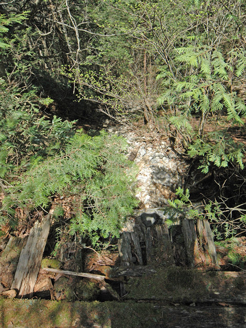 ��������X�ѓS��,�ѓS,�p����,�J��,�؋�,���ꑺ,�����