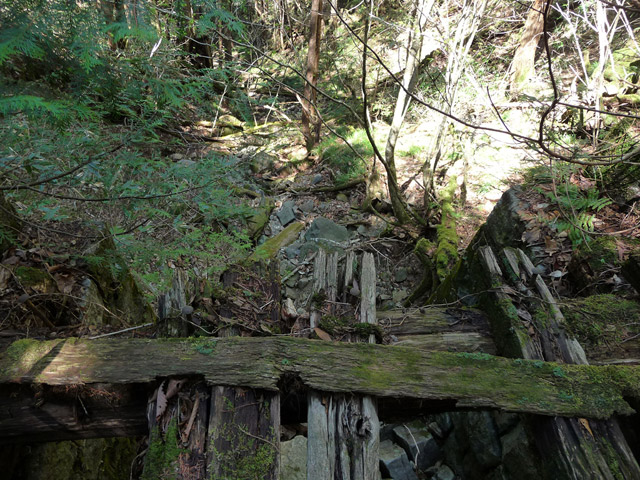 ��������X�ѓS��,�ѓS,�p����,�J��,�؋�,���ꑺ,�}��