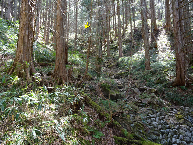 ��������X�ѓS��,�ѓS,�p����,�J��,�؋�,�x��,��