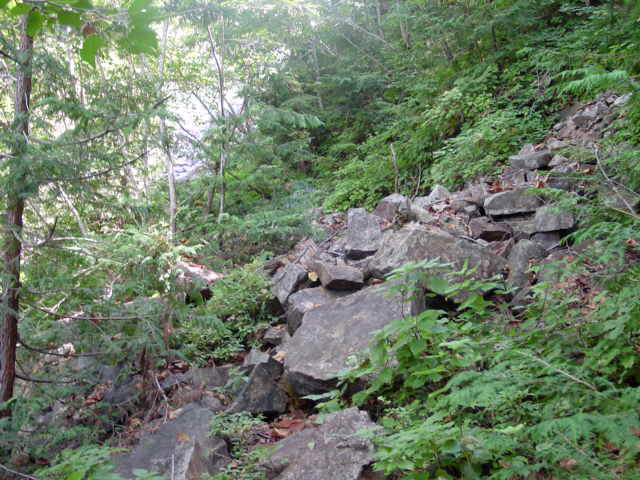 ��������X�ѓS��,�ѓS,�p����,�ؑ]�X,���ꑺ,�i���[�O����,�K����