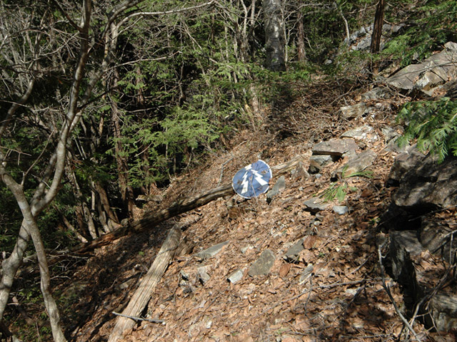 ��������X�ѓS��,�ѓS,�p����,���ꑺ,�ѓ�,�x�J�点�W��