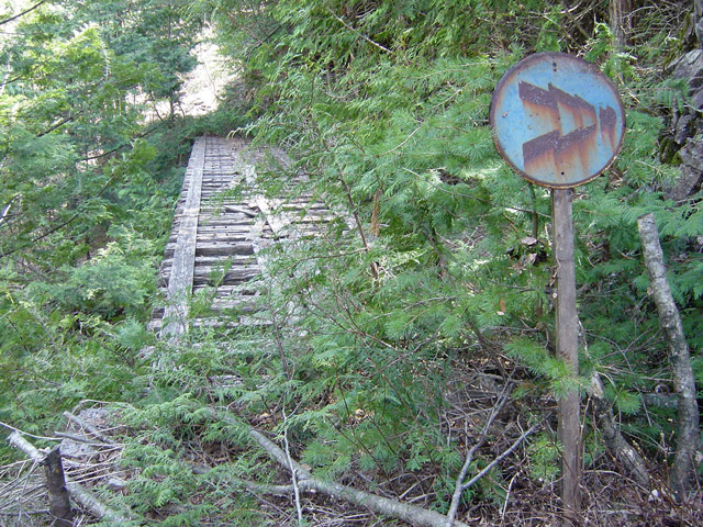 �ؑ]�X�ѓS�����������,�ѓS,�p����,�؍މ^���O����,1492M�V��,�x�J�点�W��