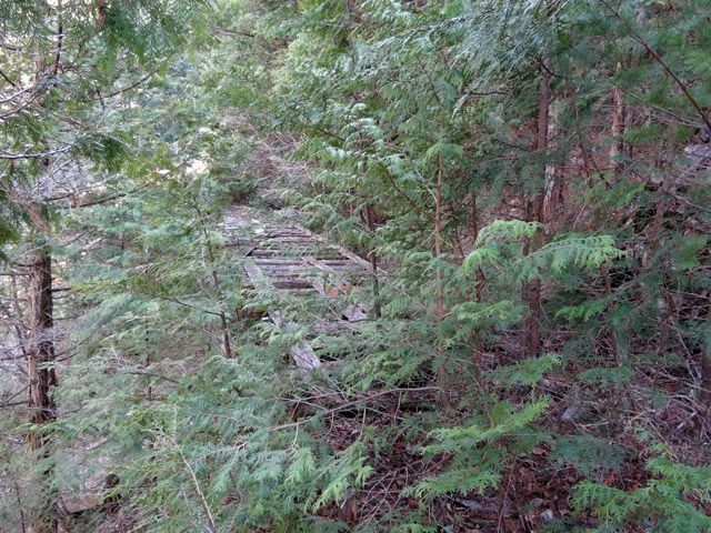 �ؑ]�X�ѓS�����������,�ѓS,�p����,�؍މ^���O����,1492M�V��,�x�J�点�W��