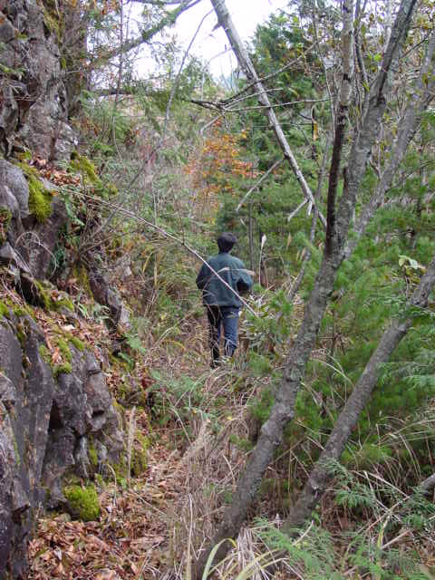 �ؑ]�X�ѓS�����������,�ѓS,�p����,�؍މ^���O����,1492M�V��,�ؑ]�H