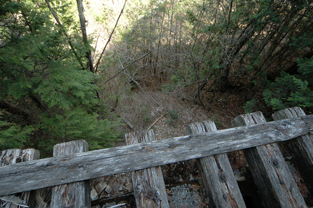 ��������X�ѓS��,�ѓS,�p����,�V��,�M�P��,�i���[�O����,�B�e