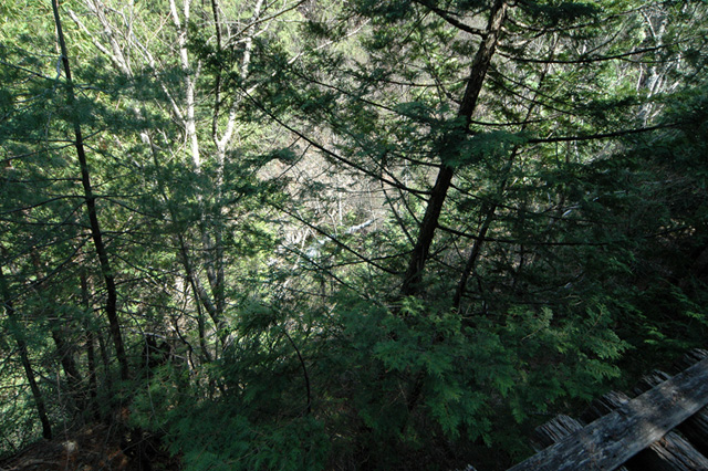 ��������X�ѓS��,�ѓS,�p����,�V��,�M�P��,�؍މ^���O����,��