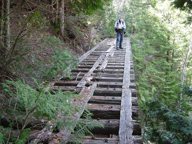 ��������X�ѓS��,�ѓS,�p����,�V��,�M�P��,�؍މ^���O����,1492M�V��