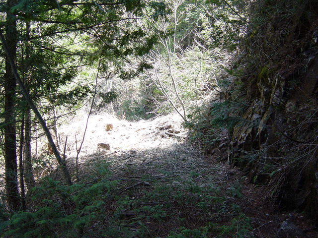 ��������X�ѓS��,�ѓS,�p����,�V��,�M�P�򍶊�,�؍މ^���O����,�ؑ]�X