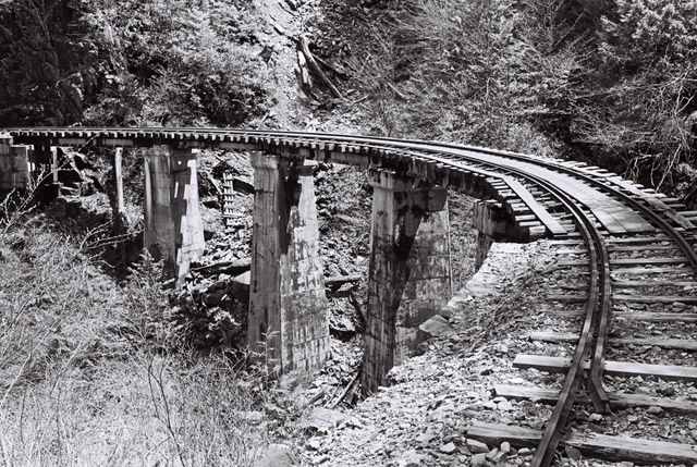 ��������X�ѓS�� �ѓS ���[�� �M���򋴗� ���ꑺ PC�� �؍މ^���O����