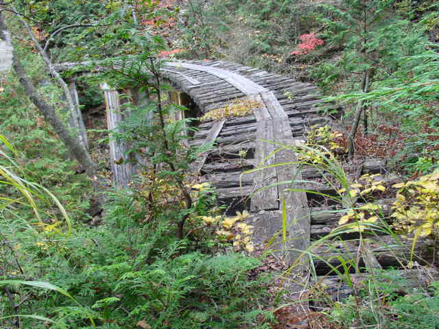 ��������X�ѓS�� �ѓS �p���� �M���򋴗� ���ꑺ ���� �؍މ^���O����