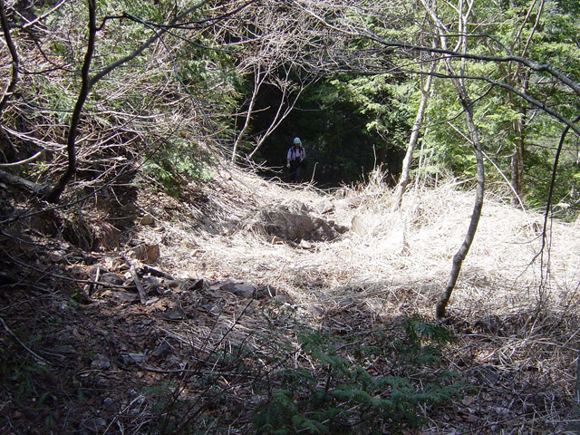 ��������X�ѓS�� �ѓS �p���� �M���򋴗� ����c�я� �ѓ� �i���[�O����