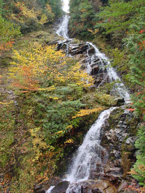 ��������X�ѓS��,�ѓS,�p����,�K����,���ꑺ,�؍މ^���O����