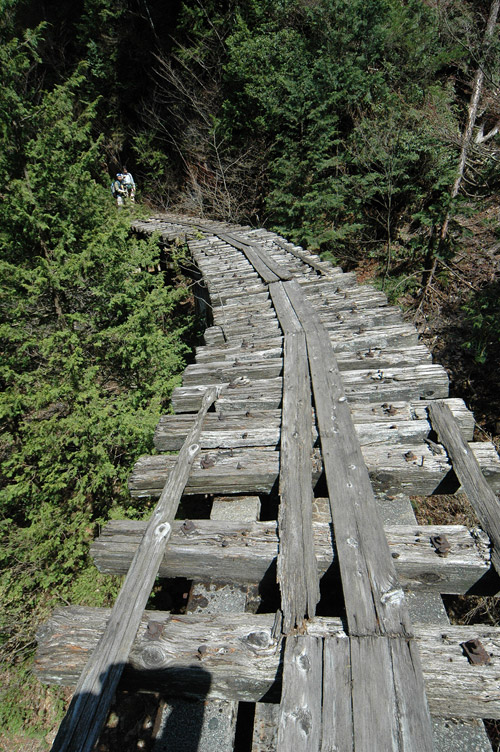 ��������X�ѓS��,�ѓS,�p����,�K����,���ꑺ,�؍މ^���O����