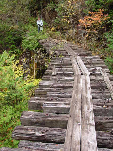 ��������X�ѓS��,�ѓS,�p����,�K����,���ꑺ,�؍މ^���O����