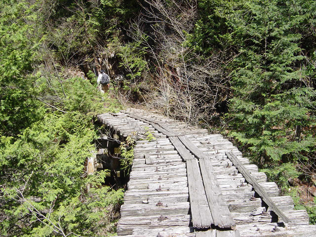 �ؑ]�X�ѓS�����������,�ѓS,�V����ԏ�,���ꑺ,���[��,�㏼�^�A�c�я�