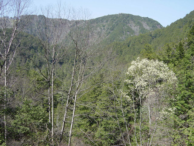 �ؑ]�X�ѓS�����������,�ѓS,�V����ԏ�,���ꑺ,���[��,�㏼�^�A�c�я�