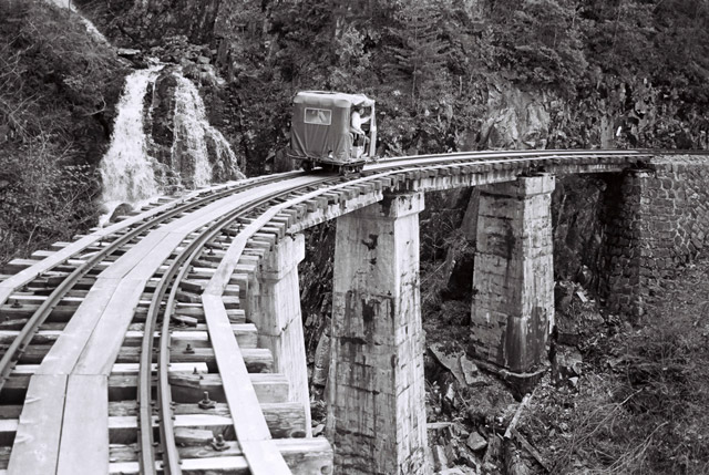 ��������X�ѓS�� �ѓS �O�� �M���򋴗� �L�O�B�e ���[�^�[�J�[ �؍މ^���O��