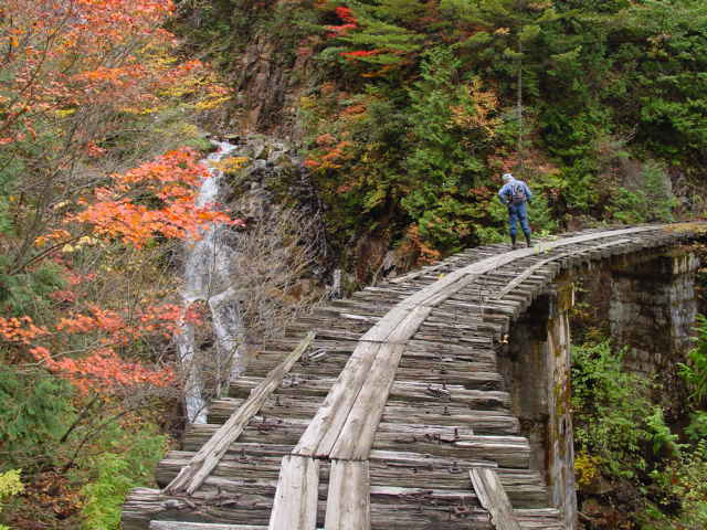 ��������X�ѓS�� �ѓS �p���� �M���򋴗� �g�t �O�Y�F�V �i���[�O����