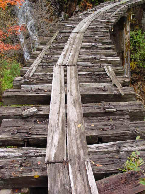 ��������X�ѓS�� �ѓS �p���� �M���򋴗� �`���b�N�� ���ݔ� ����