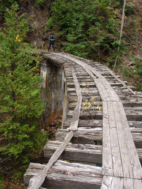 ��������X�ѓS�� �ѓS �p���� �M���򋴗� �O���� ���ݔ� ����