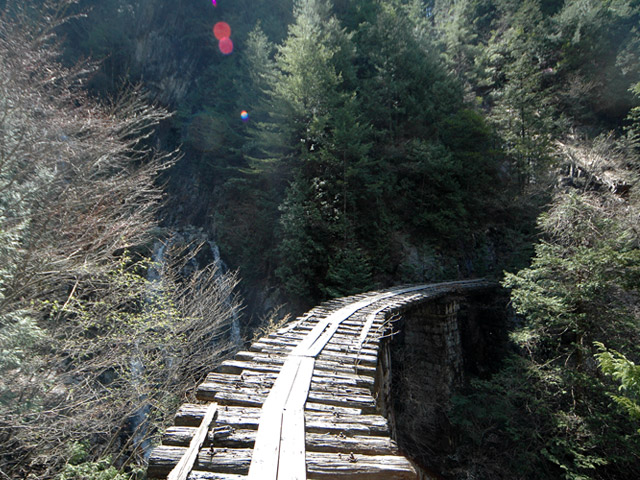 ��������X�ѓS�� �ѓS �p���� �M���򋴗� �O���� ���ݔ� ����