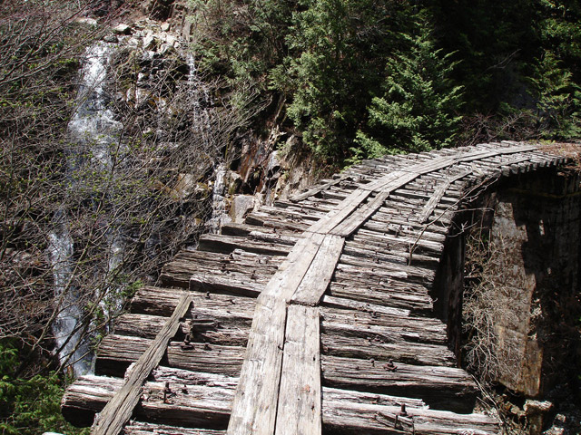 ��������X�ѓS�� �ѓS �p���� �M���򋴗� �g���b�R�O���� �J���g ����