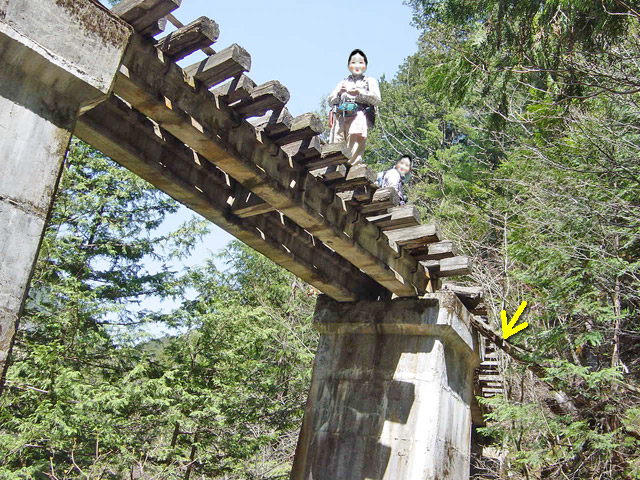 ��������X�ѓS�� �ѓS �p���� �M���򋴗� �O���� �n�V�S �c�[